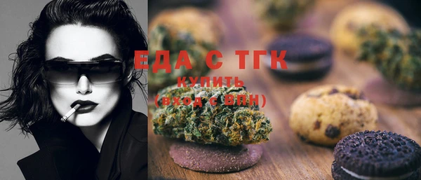 индика Приозерск