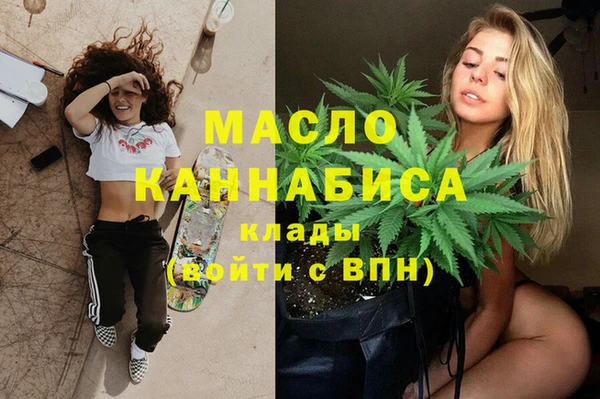индика Приозерск