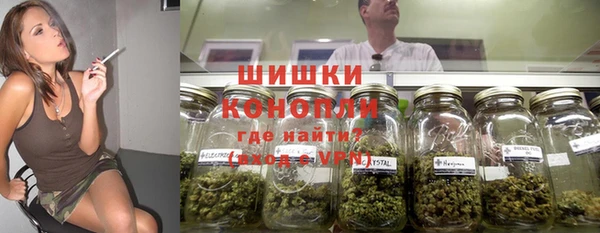 индика Приозерск