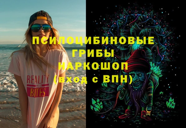 индика Приозерск