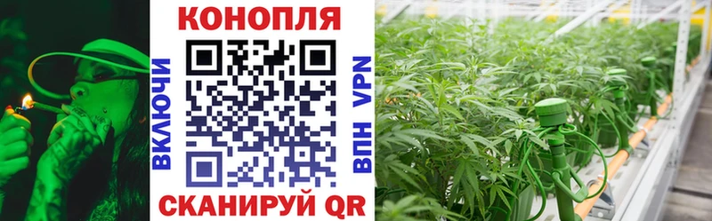 МАРИХУАНА тримм  наркотики  Балахна 